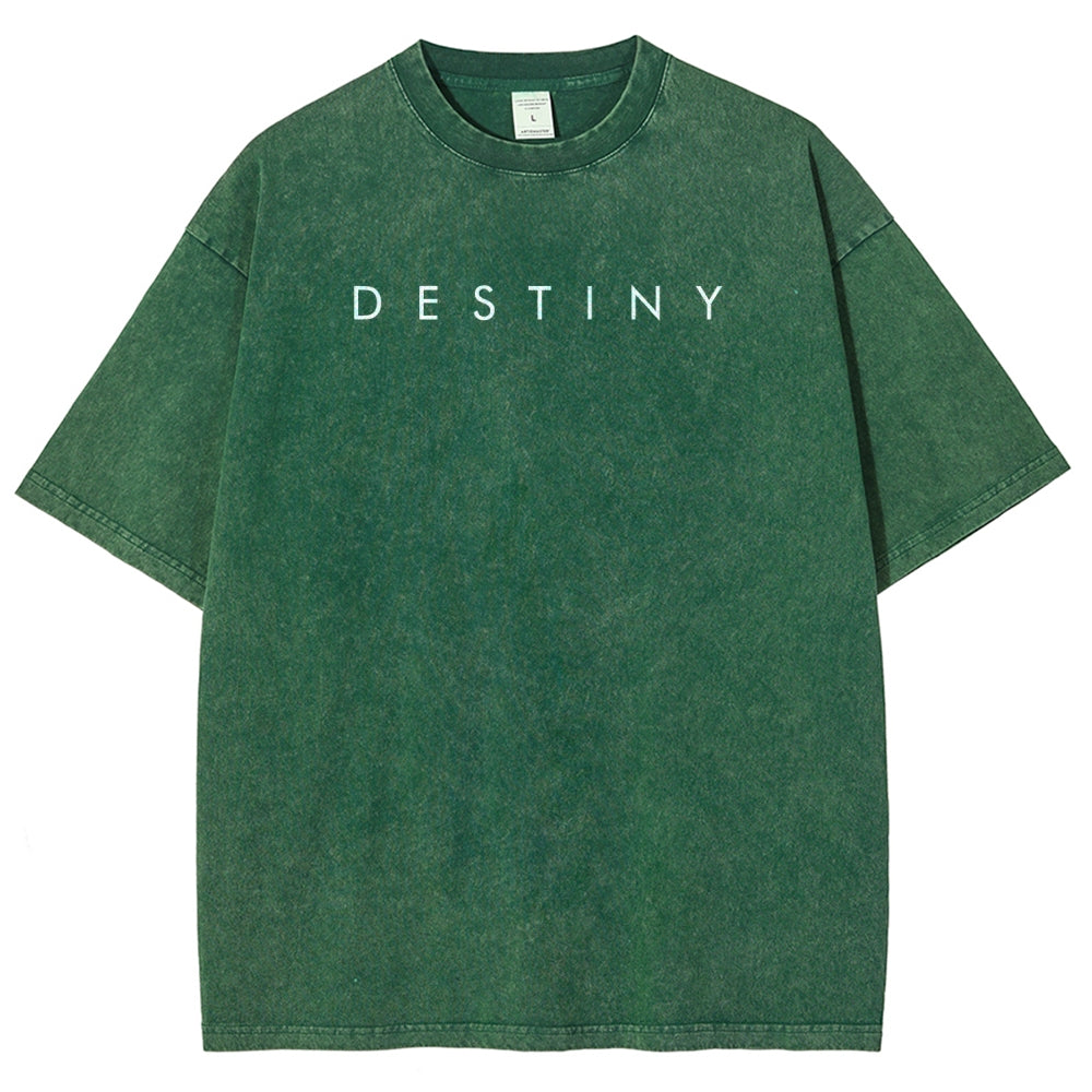 Destiny Unisex Fit Washed T-Shirt 2602003756