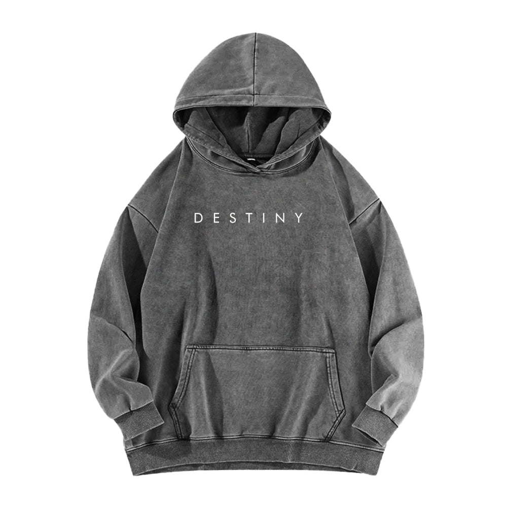 Destiny Unisex Washed Hoodie 2602003788