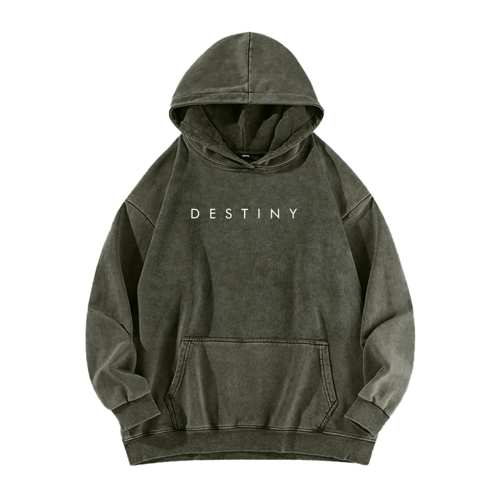 Destiny Unisex Washed Hoodie 2602003788
