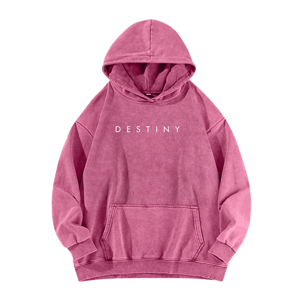 Destiny Unisex Washed Hoodie 2602003788