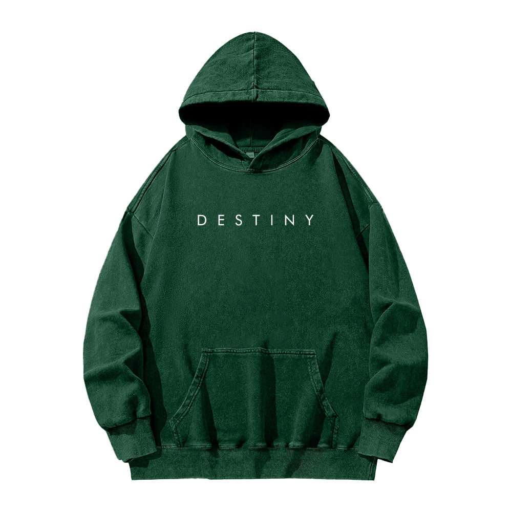 Destiny Unisex Washed Hoodie 2602003802