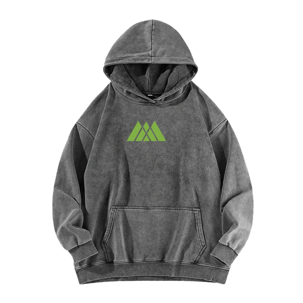 Destiny Unisex Washed Hoodie 2602003822