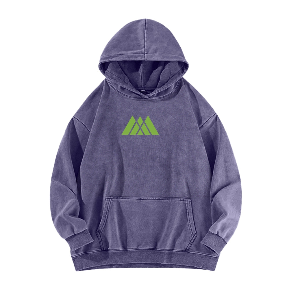 Destiny Unisex Washed Hoodie 2602003822