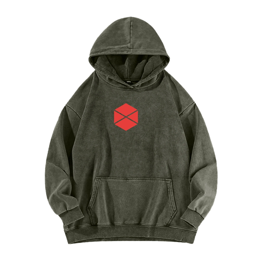 Destiny Unisex Washed Hoodie 2602003929