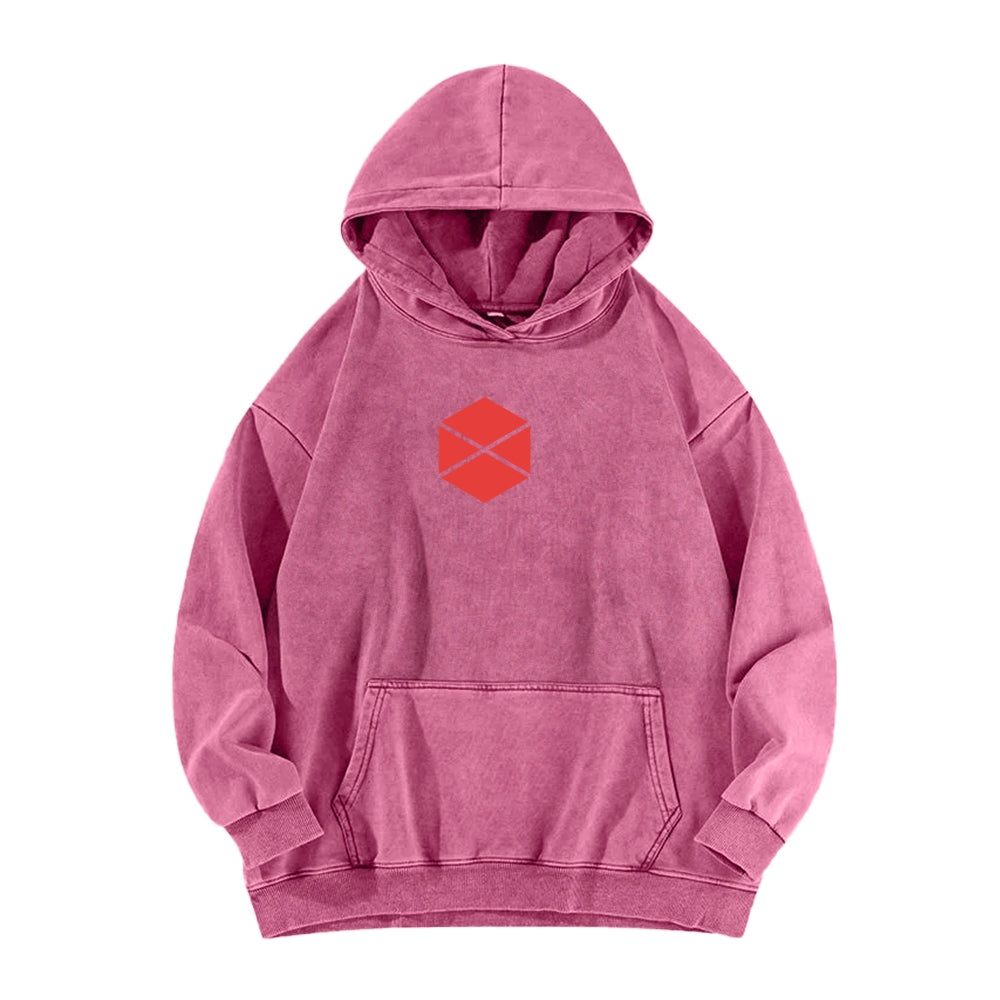 Destiny Unisex Washed Hoodie 2602003929