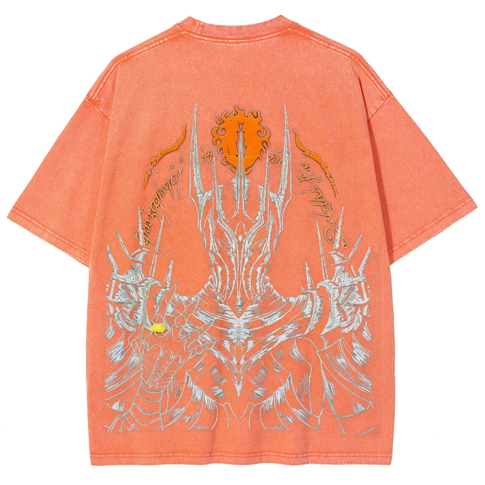 The Lord of the Rings Unisex Fit Washed T-Shirt 2603016818