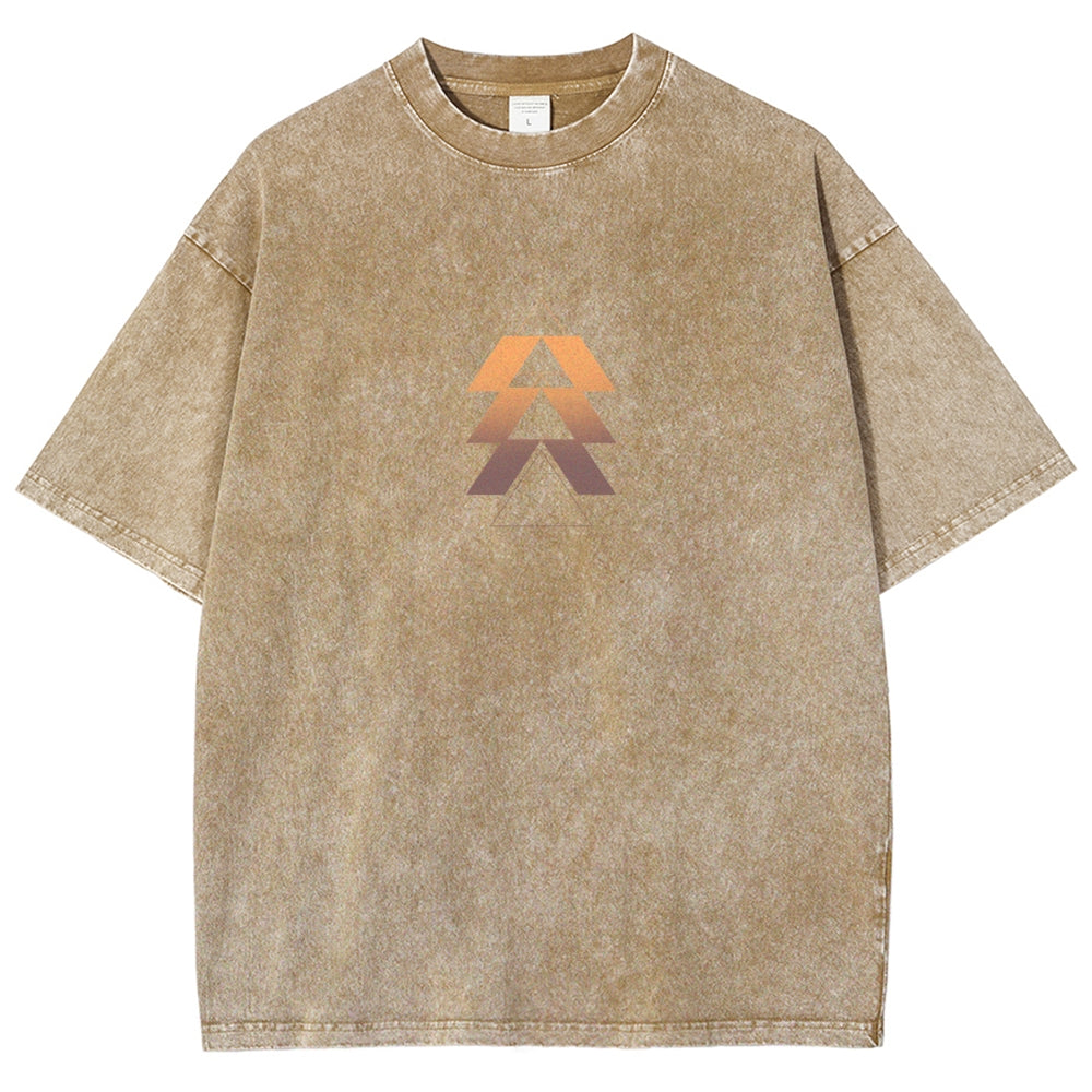 Destiny Washed T-shirt 2606000503