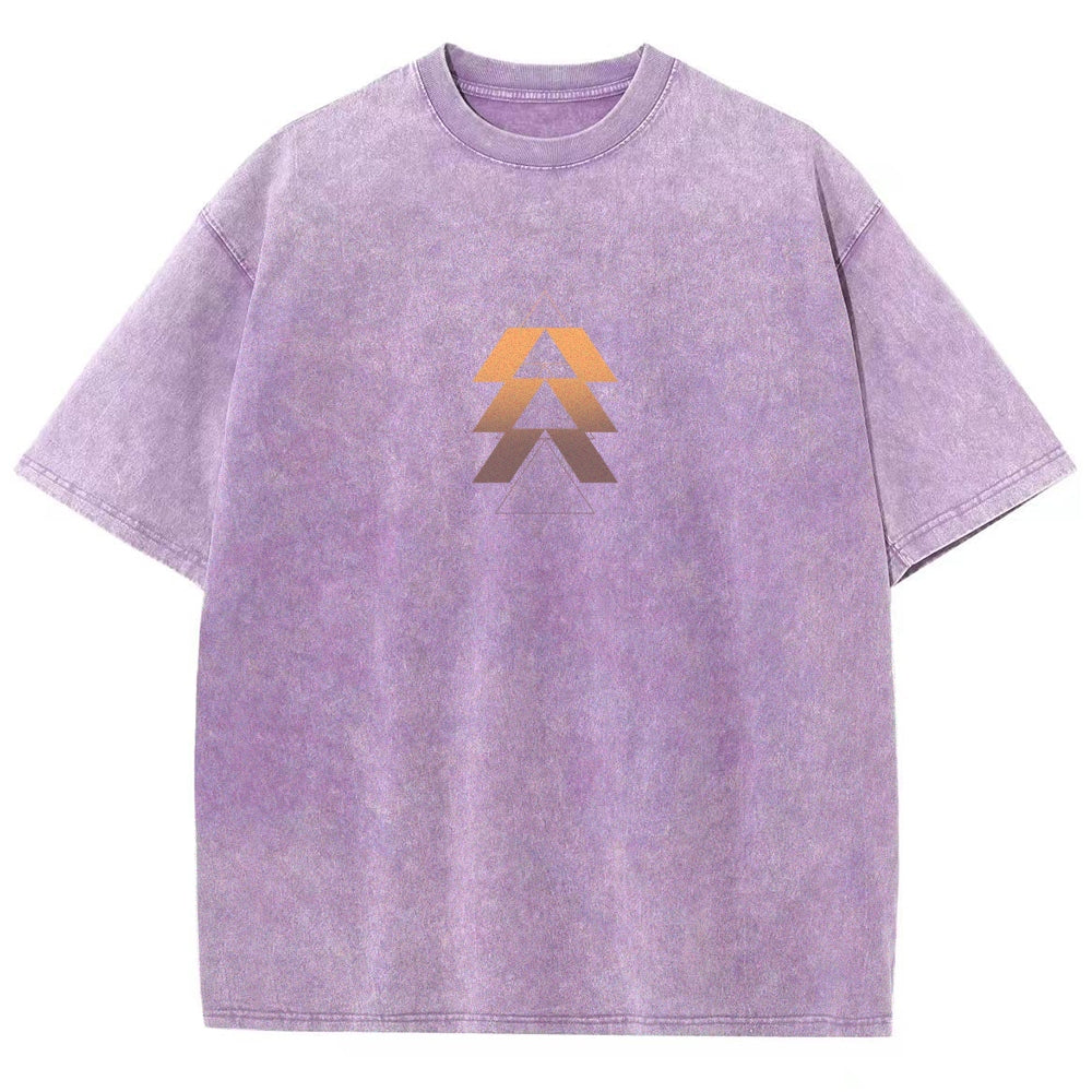 Destiny Washed T-shirt 2606000503