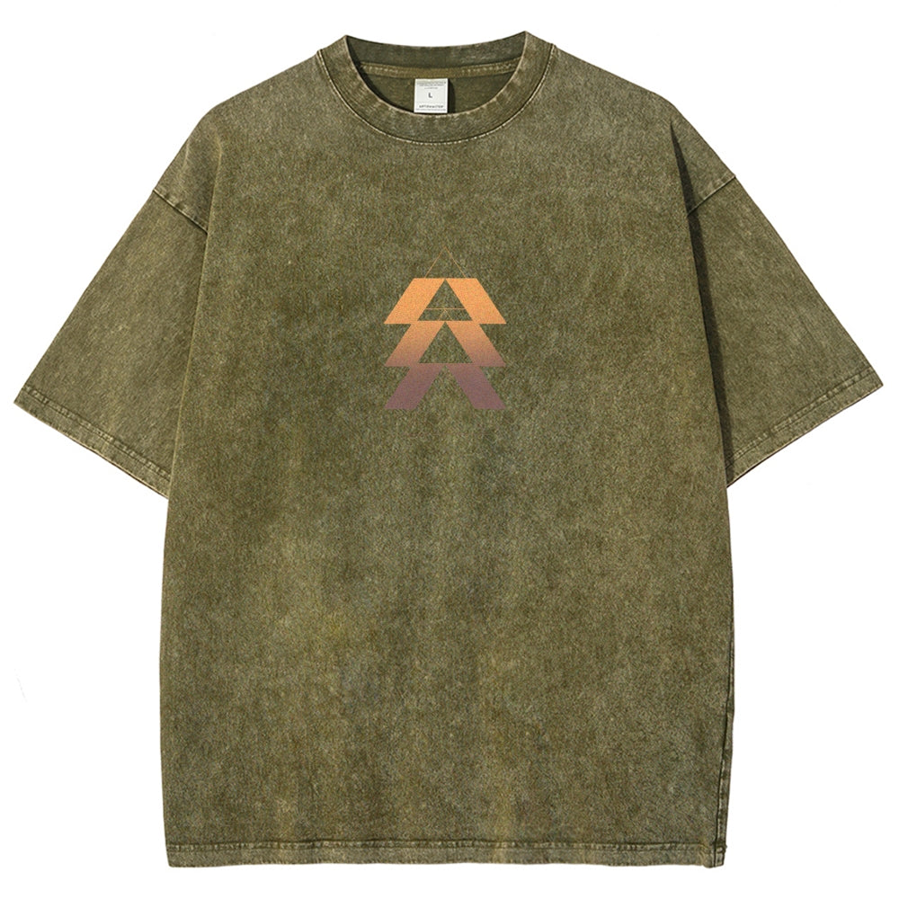 Destiny Washed T-shirt 2606000503