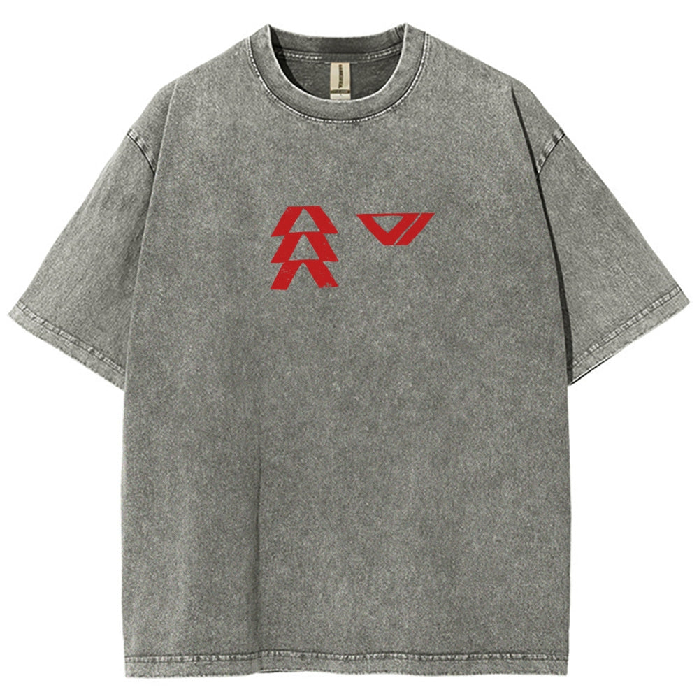 Destiny Washed T-shirt 2606001039