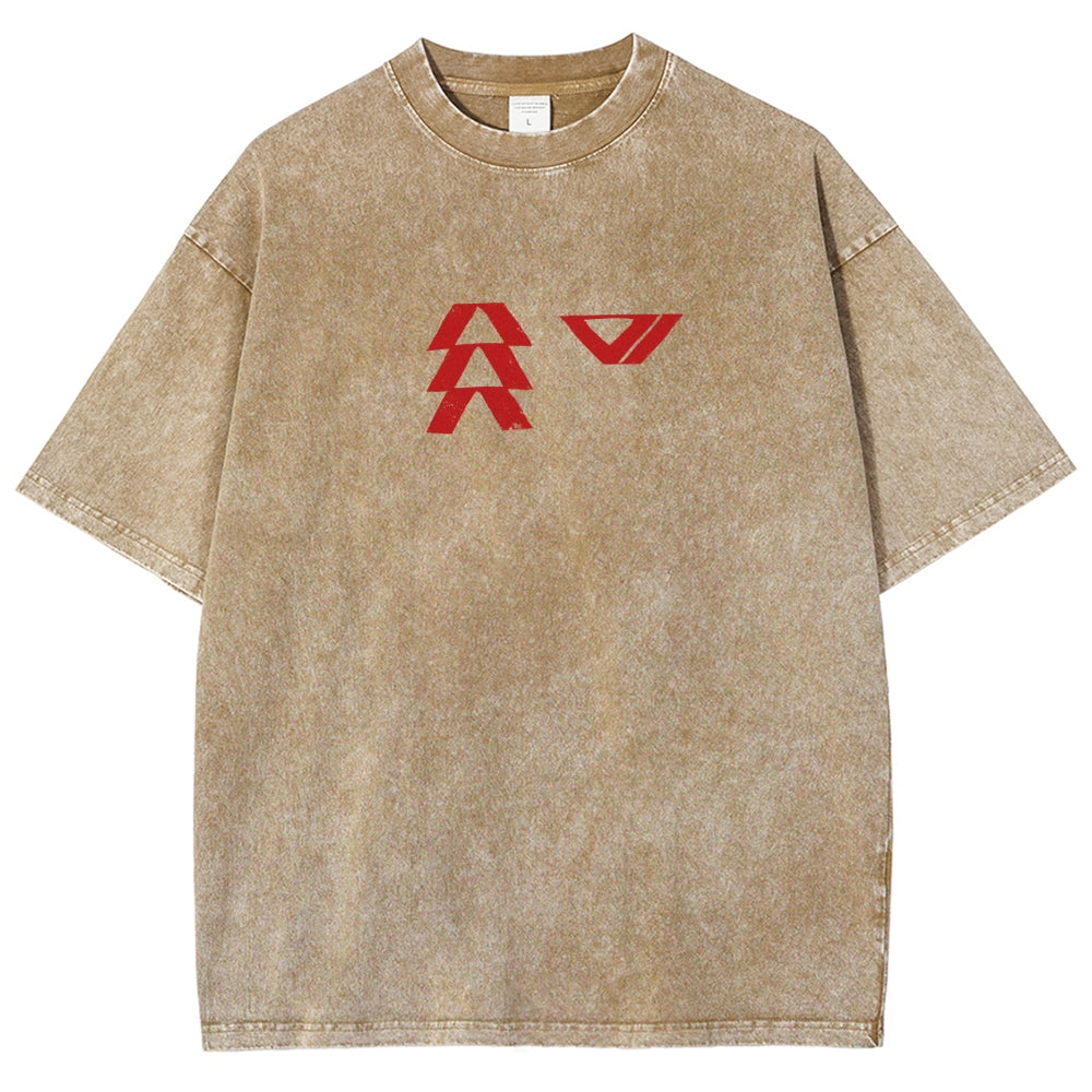 Destiny Washed T-shirt 2606001039