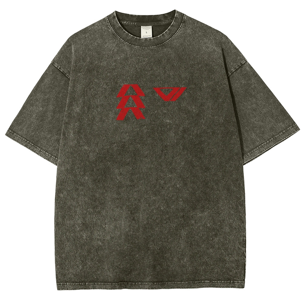 Destiny Washed T-shirt 2606001039