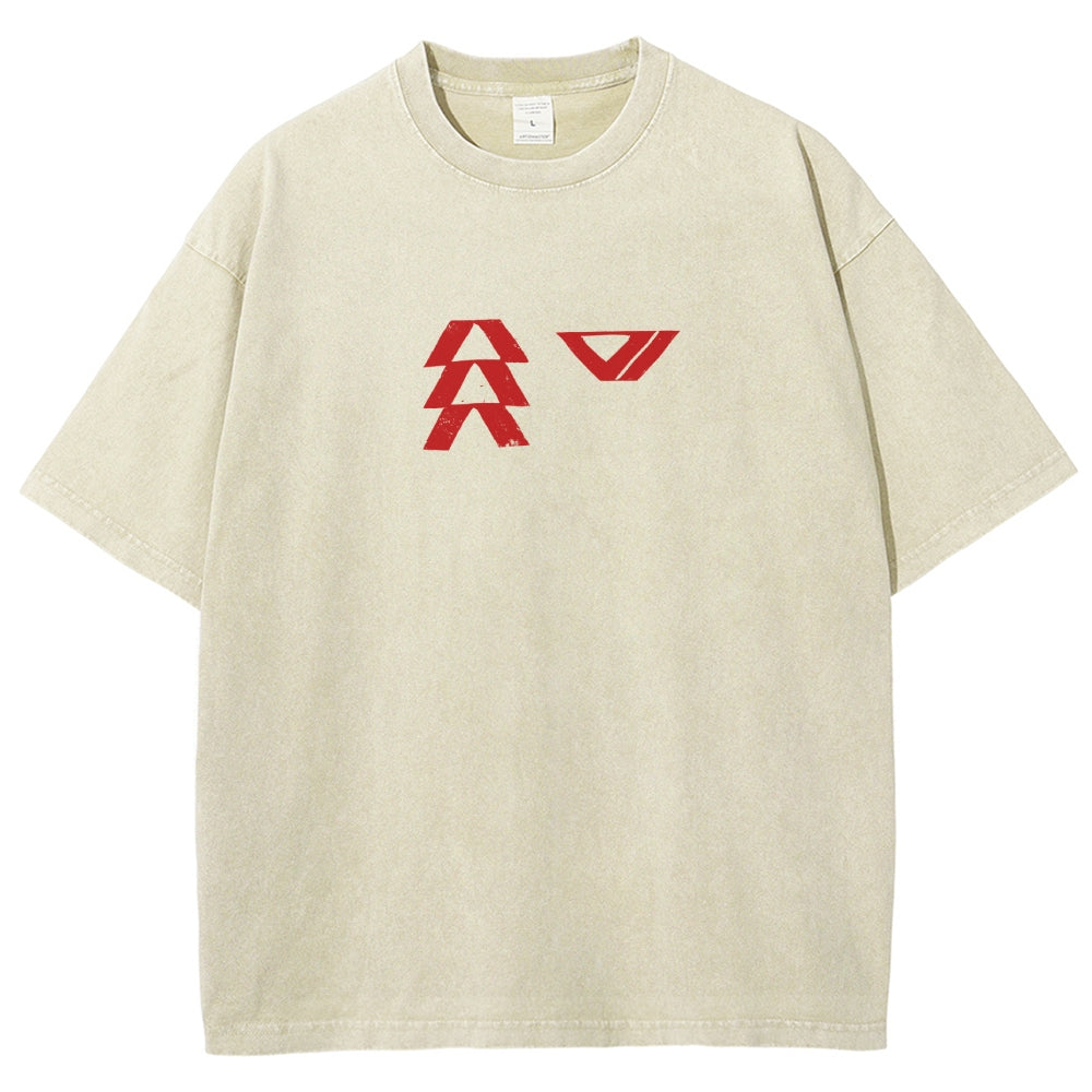 Destiny Washed T-shirt 2606001039