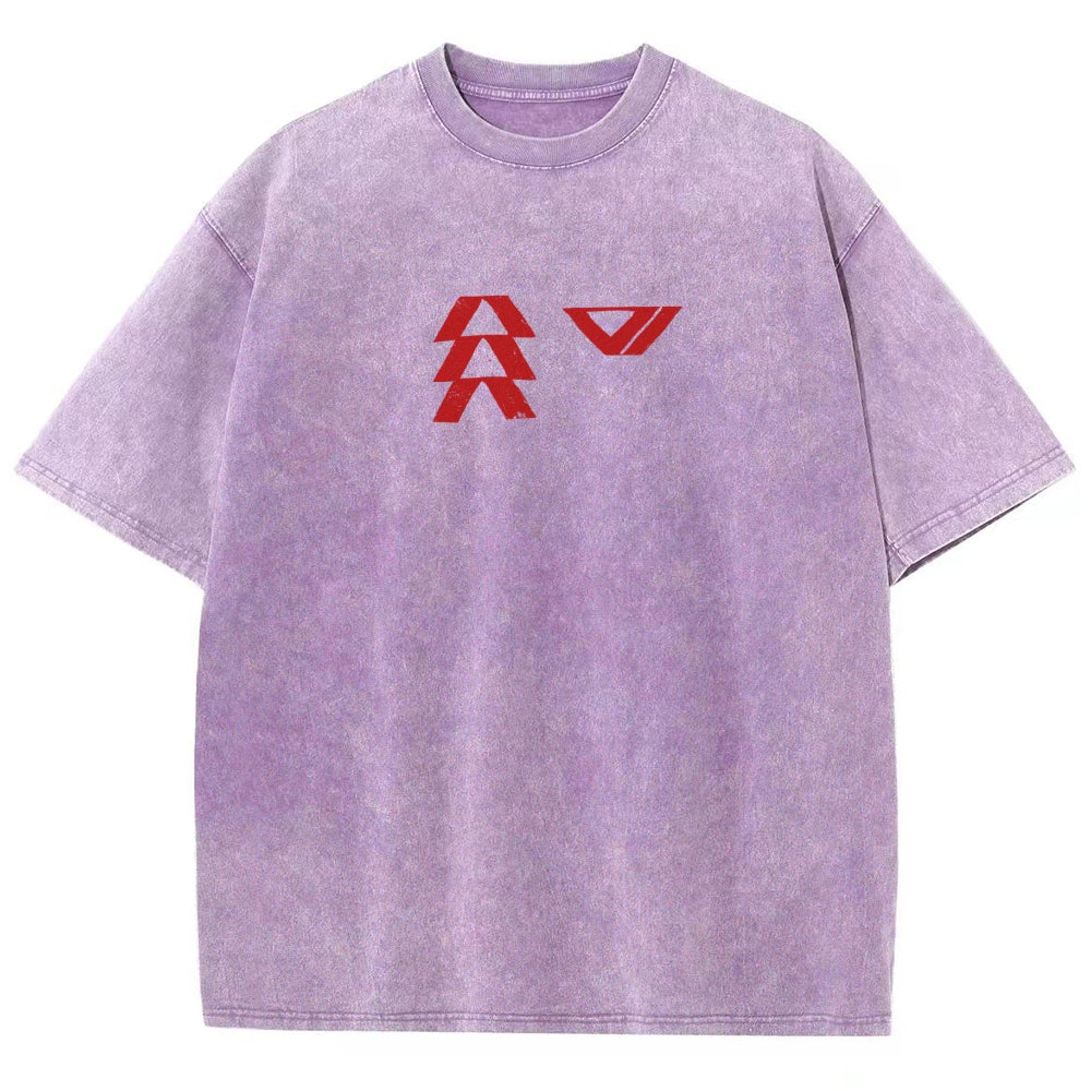 Destiny Washed T-shirt 2606001039