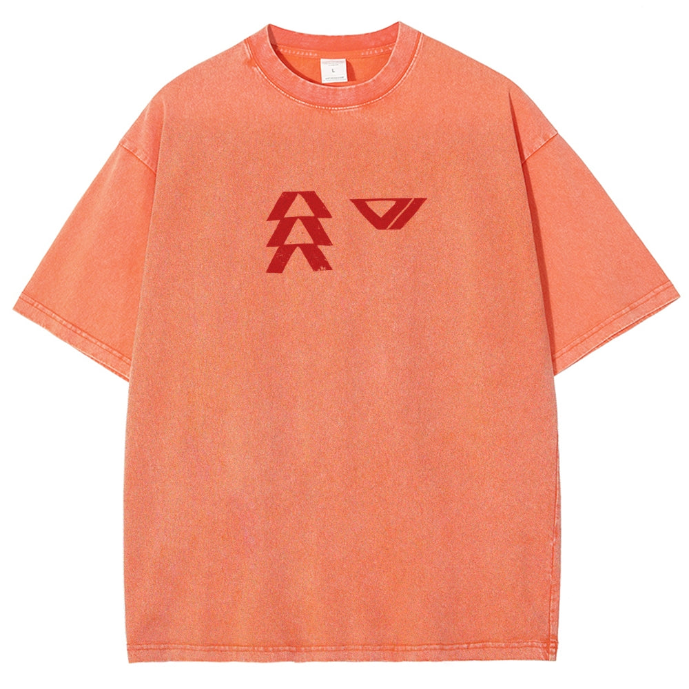 Destiny Washed T-shirt 2606001039