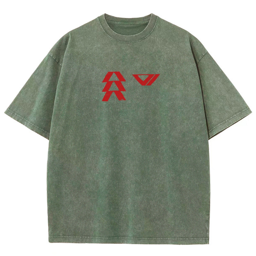 Destiny Washed T-shirt 2606001039