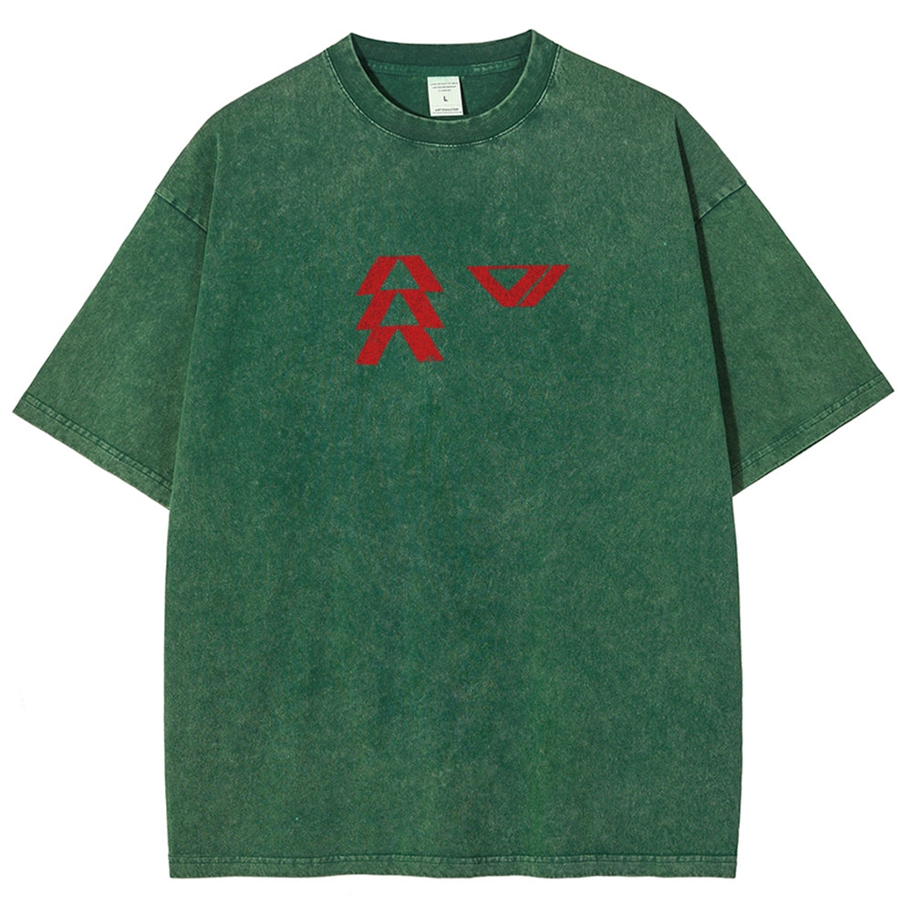 Destiny Washed T-shirt 2606001039