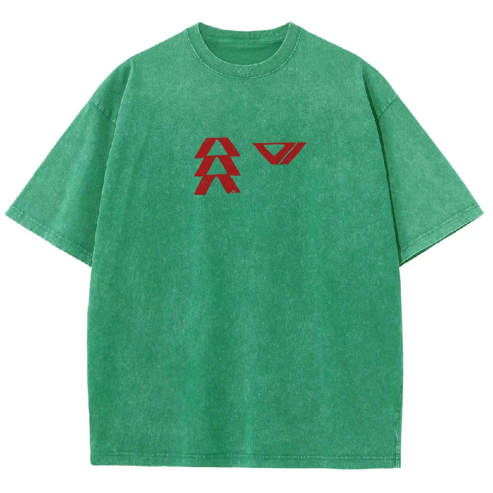 Destiny Washed T-shirt 2606001039