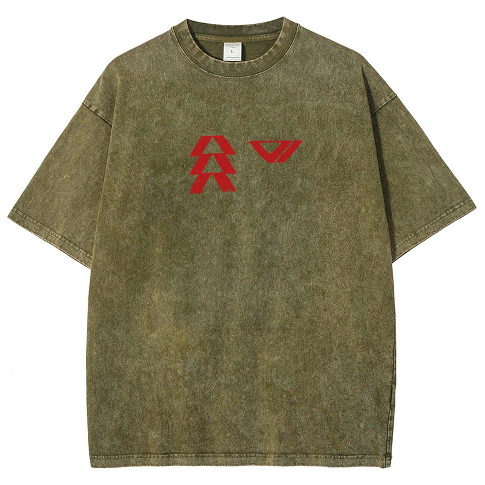 Destiny Washed T-shirt 2606001039