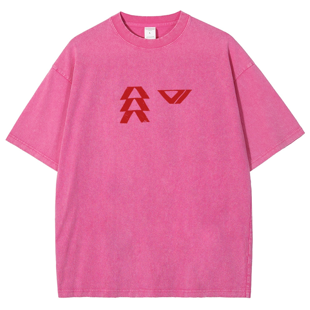 Destiny Washed T-shirt 2606001039