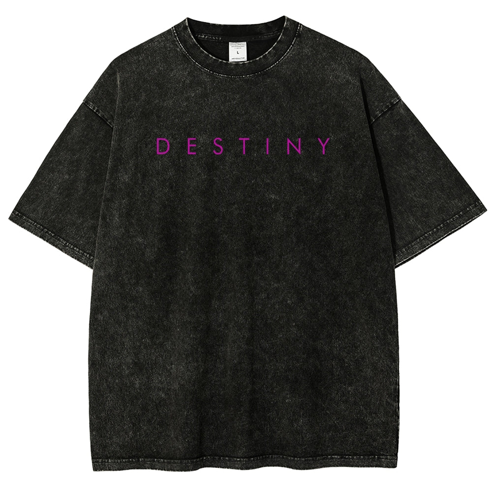 Destiny Washed T-shirt 2606003764