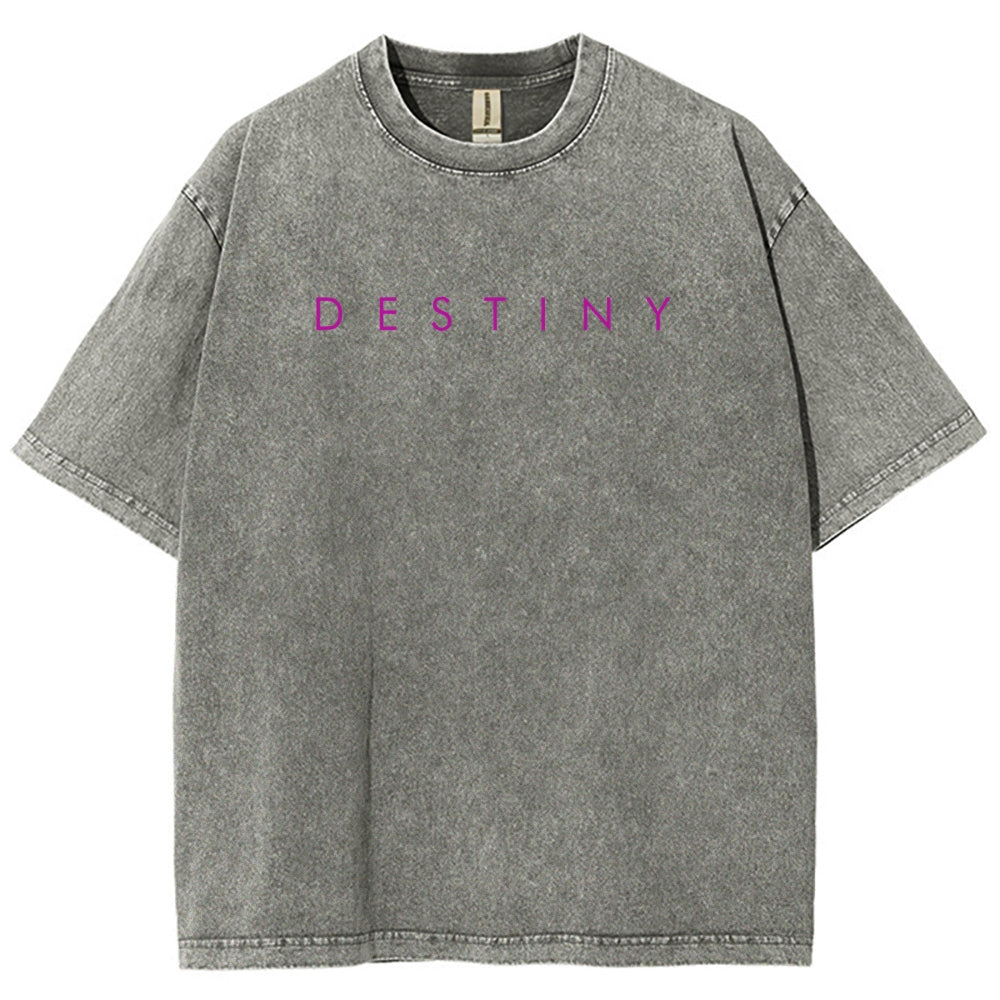 Destiny Washed T-shirt 2606003764