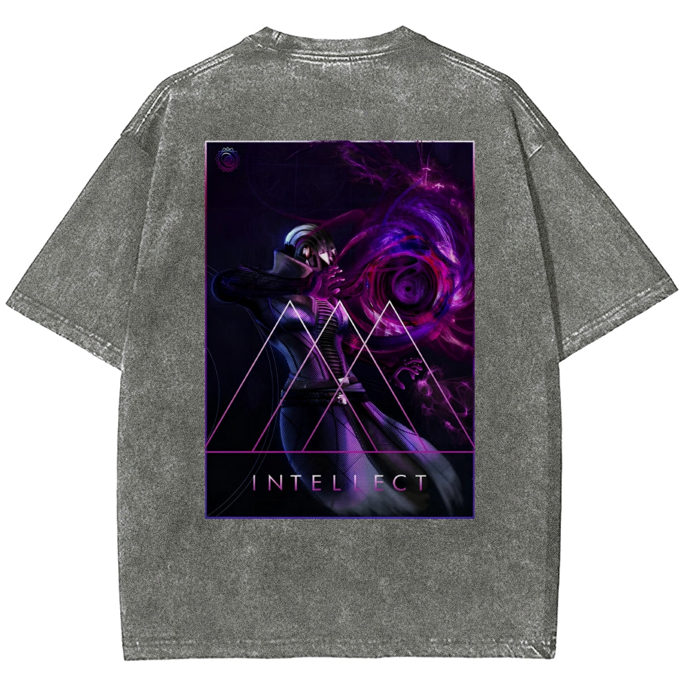 Destiny Washed T-shirt 2606003764