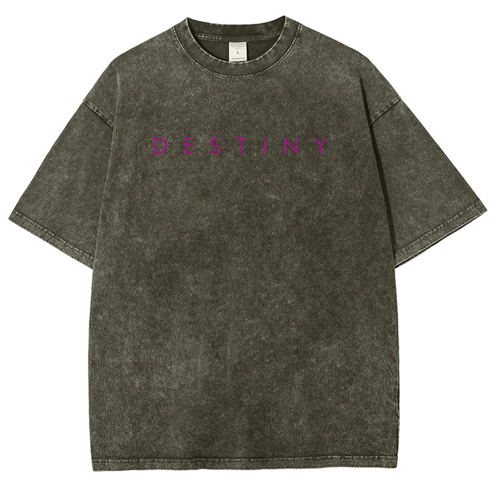 Destiny Washed T-shirt 2606003764