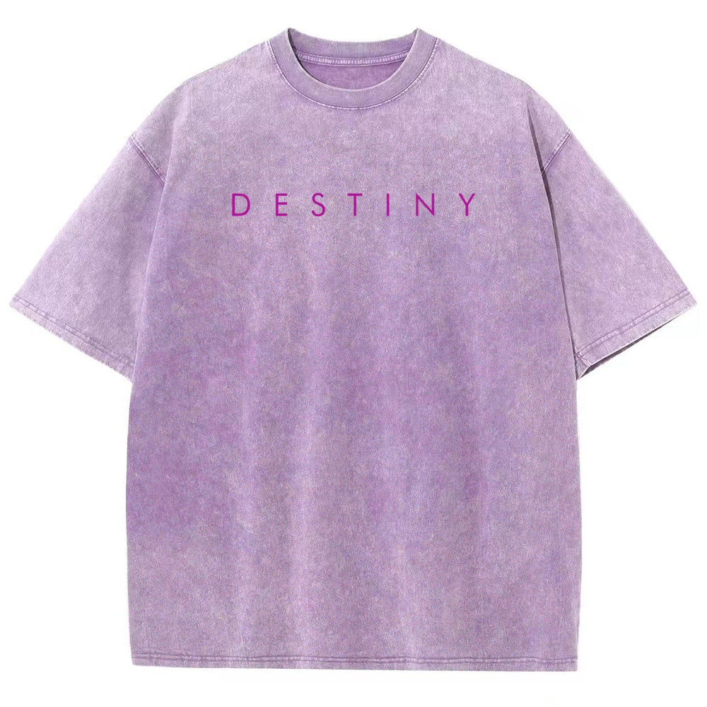 Destiny Washed T-shirt 2606003764