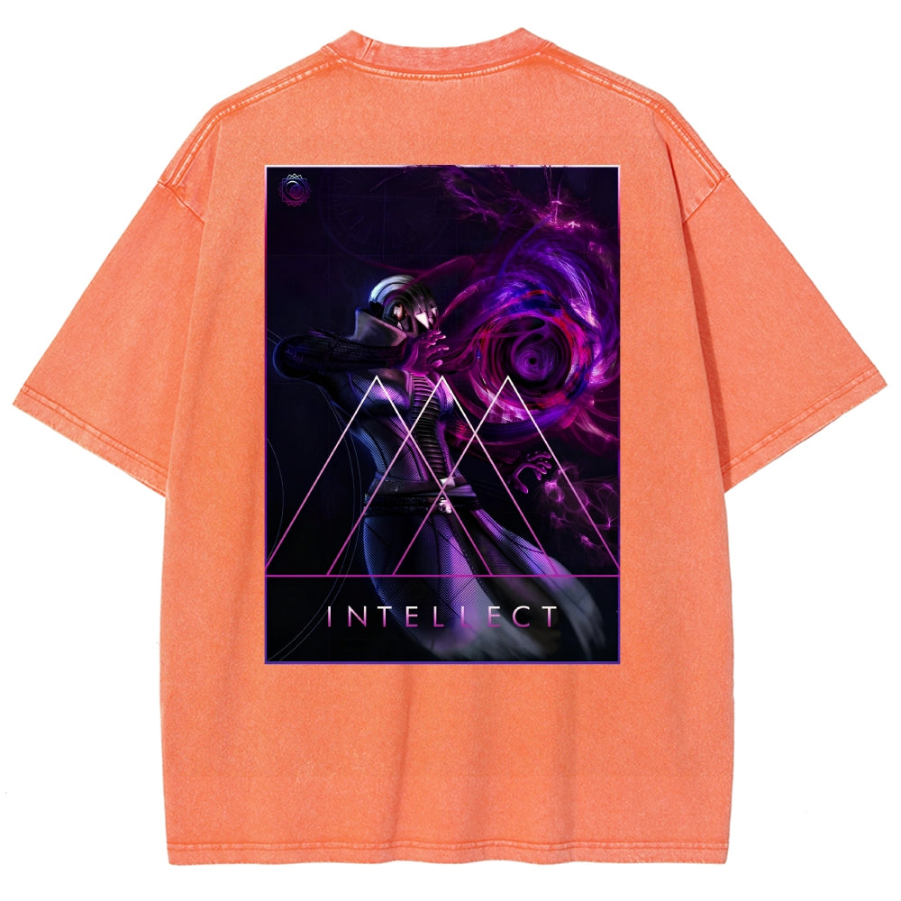 Destiny Washed T-shirt 2606003764