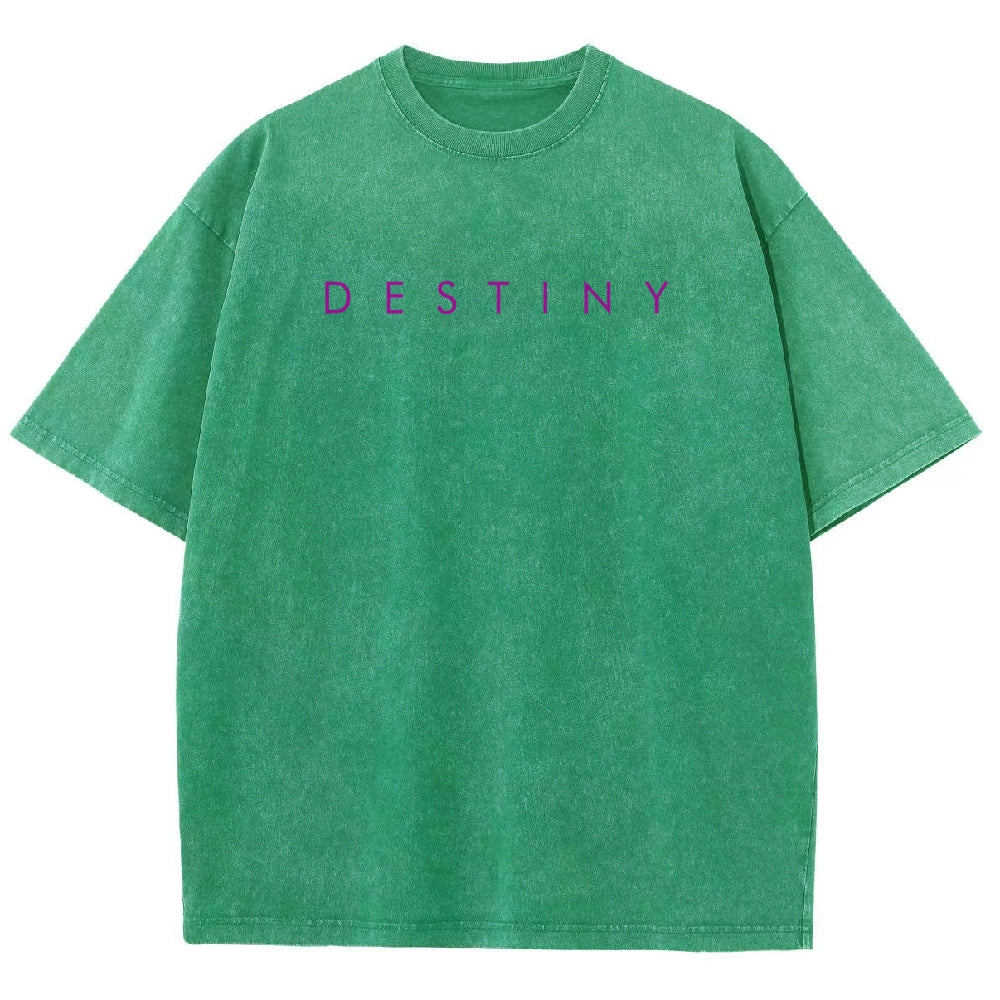 Destiny Washed T-shirt 2606003764