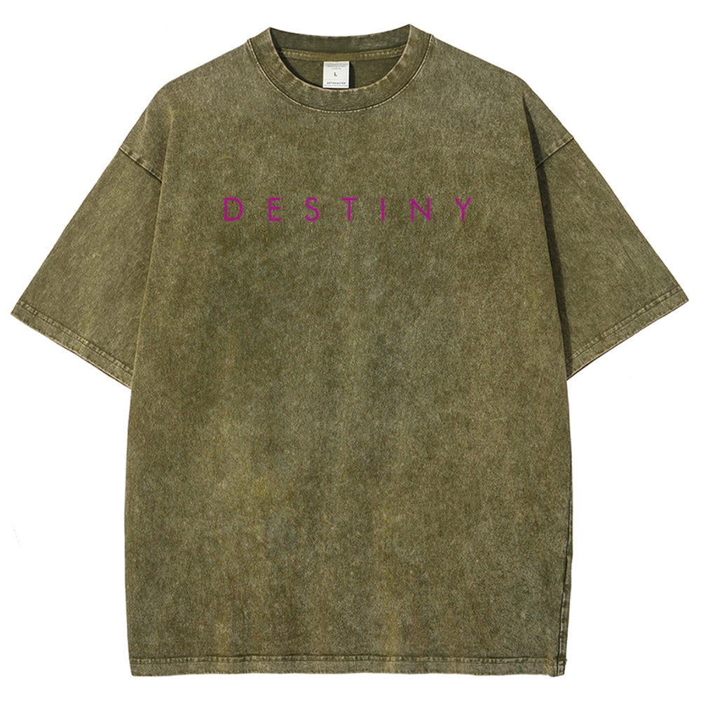 Destiny Washed T-shirt 2606003764
