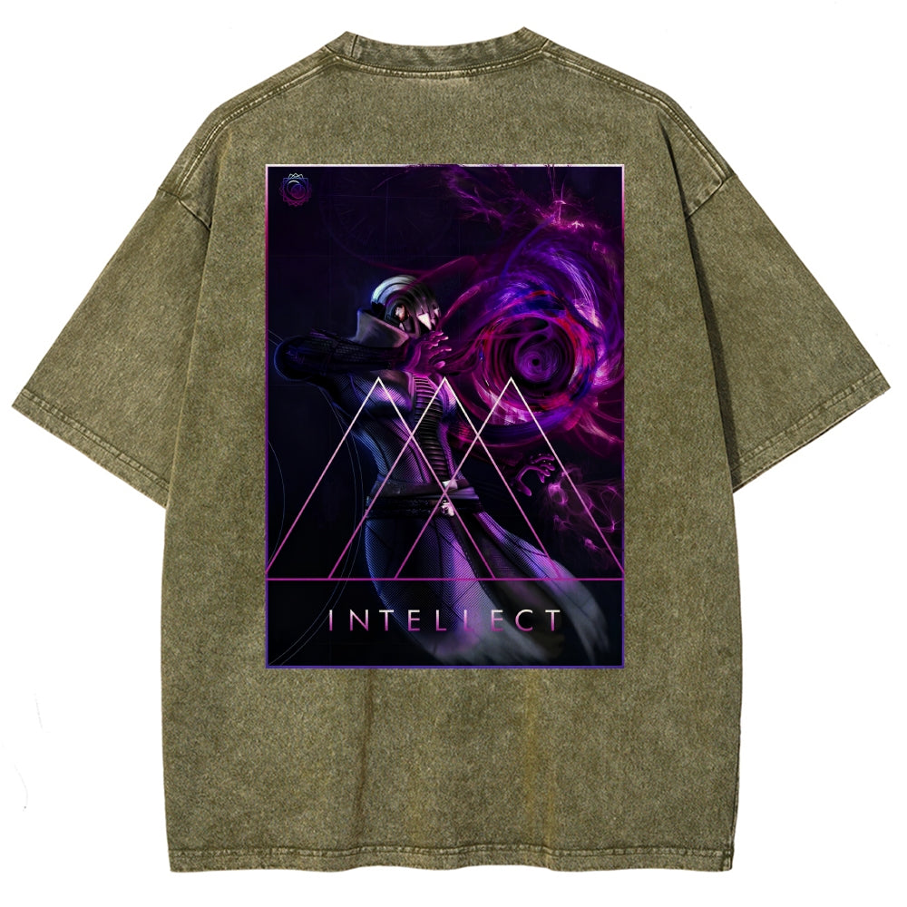 Destiny Washed T-shirt 2606003764