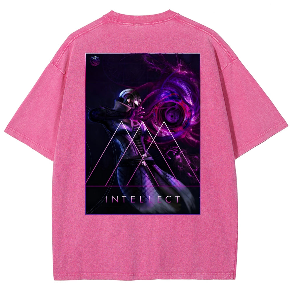 Destiny Washed T-shirt 2606003764