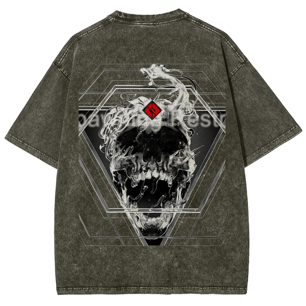 Destiny Unisex Fit Washed T-Shirt 2606006919