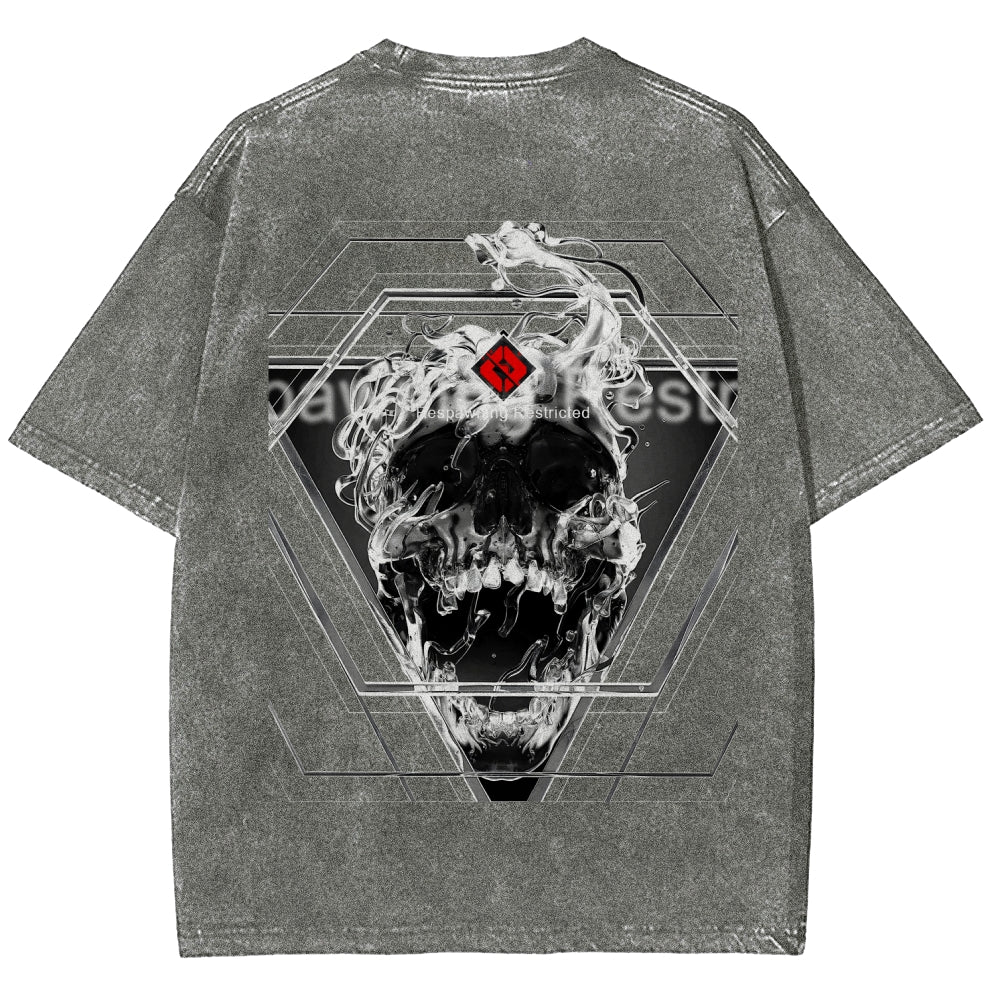 Destiny Unisex Fit Washed T-Shirt 2606006919