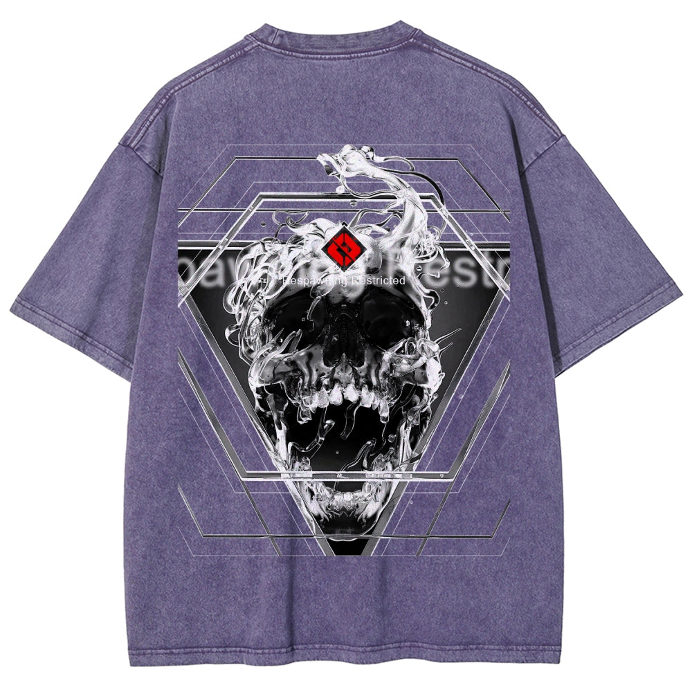 Destiny Unisex Fit Washed T-Shirt 2606006919