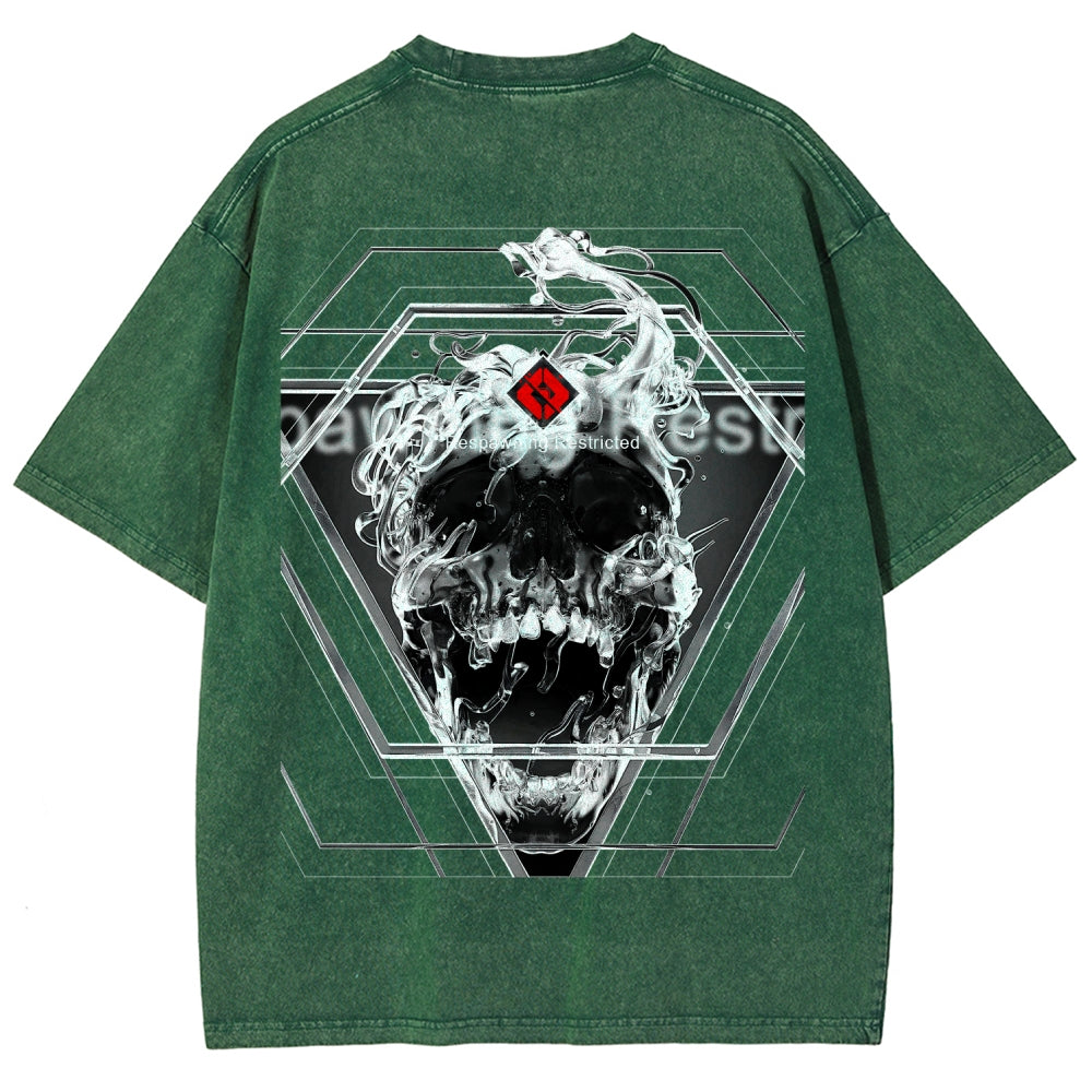 Destiny Unisex Fit Washed T-Shirt 2606006919