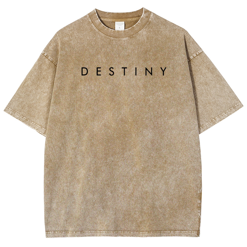 Destiny Unisex Fit Washed T-Shirt 2606006919