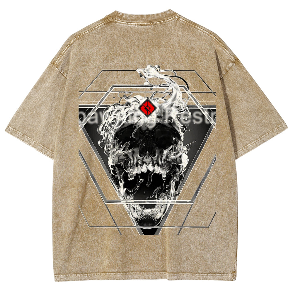 Destiny Unisex Fit Washed T-Shirt 2606006919