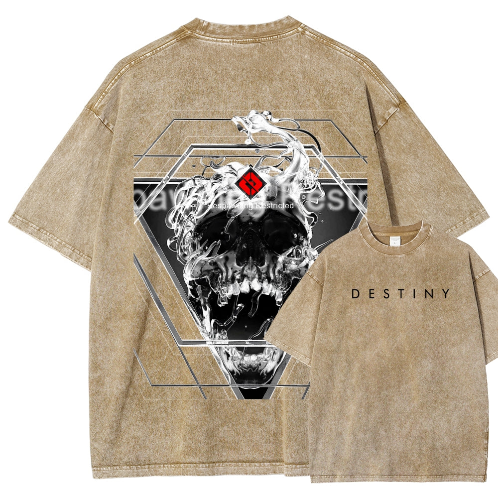 Destiny Unisex Fit Washed T-Shirt 2606006919