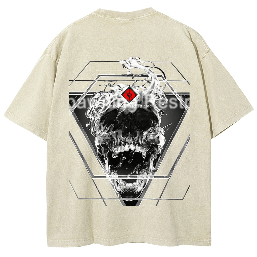 Destiny Unisex Fit Washed T-Shirt 2606006919