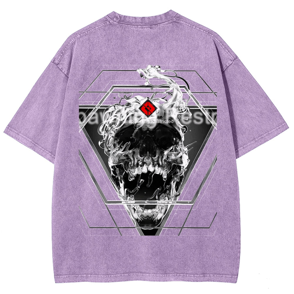 Destiny Unisex Fit Washed T-Shirt 2606006919