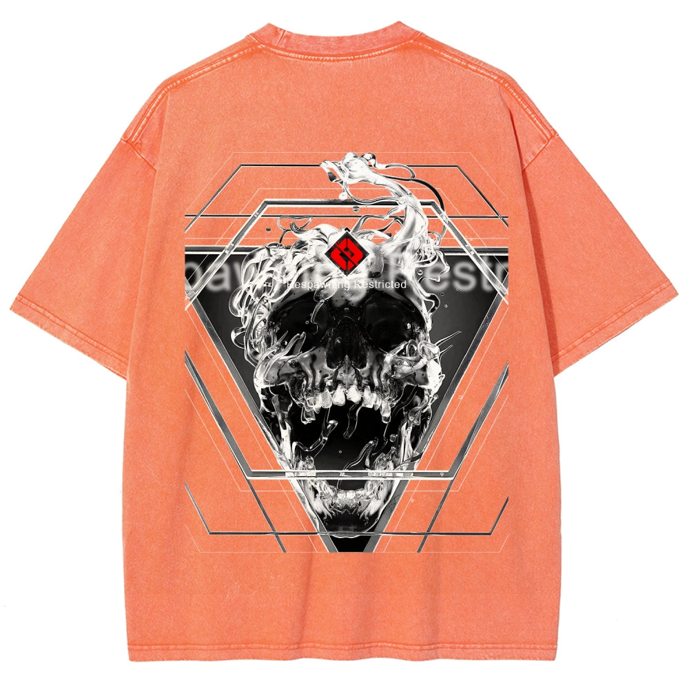 Destiny Unisex Fit Washed T-Shirt 2606006919
