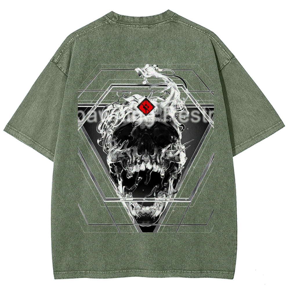Destiny Unisex Fit Washed T-Shirt 2606006919