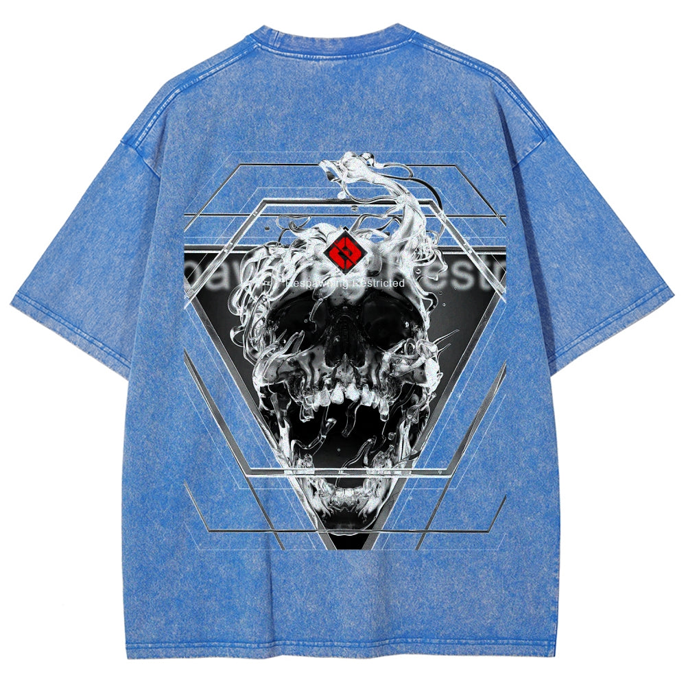 Destiny Unisex Fit Washed T-Shirt 2606006919