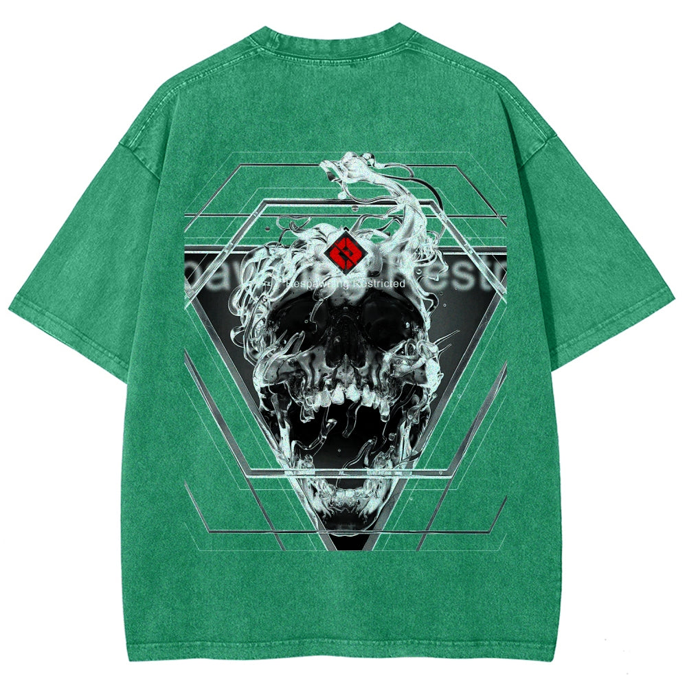 Destiny Unisex Fit Washed T-Shirt 2606006919