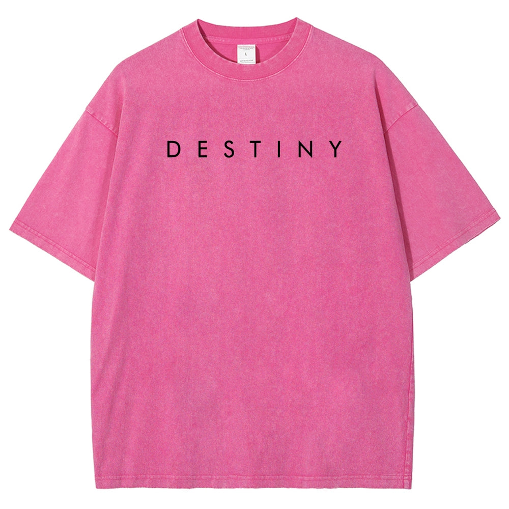 Destiny Unisex Fit Washed T-Shirt 2606006919