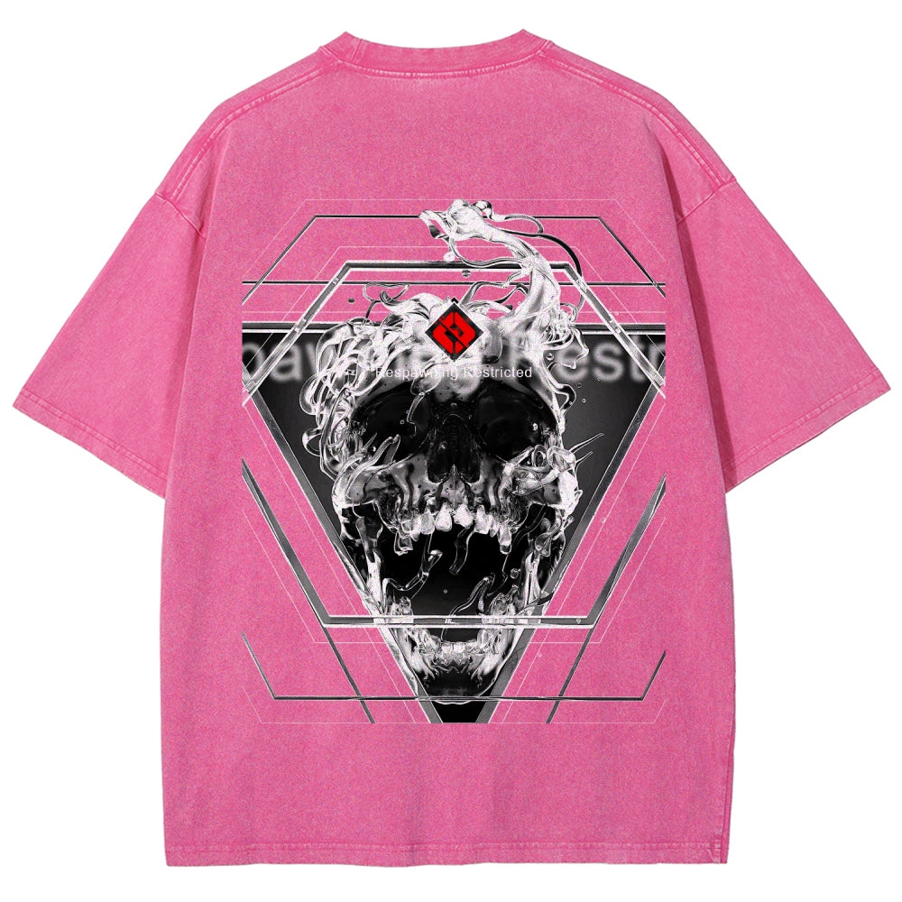 Destiny Unisex Fit Washed T-Shirt 2606006919
