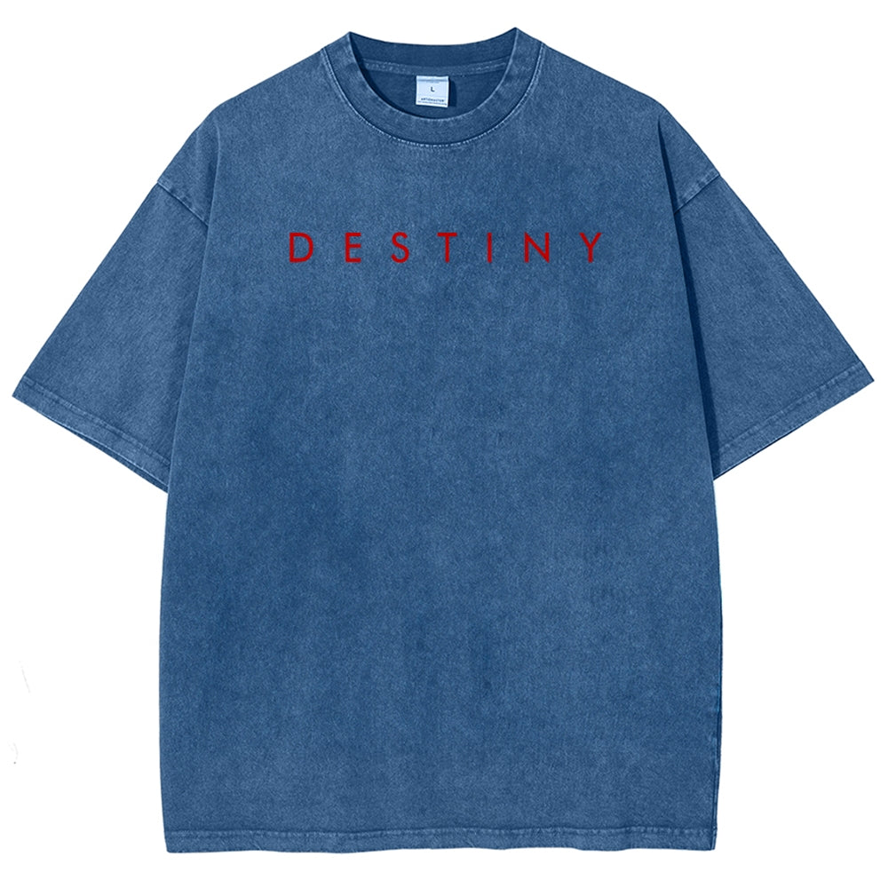 Destiny Unisex Fit Washed T-Shirt 2606006939